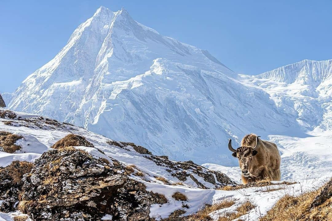 Everest Base Camp Trek Altitude: Risk, Adaptation, and Safety Guide